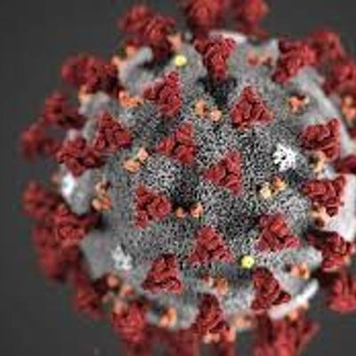 Timeline: Virus Catastroficos