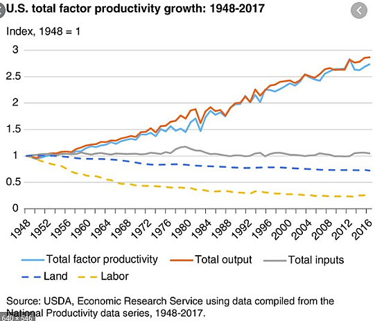 Population and Productivity