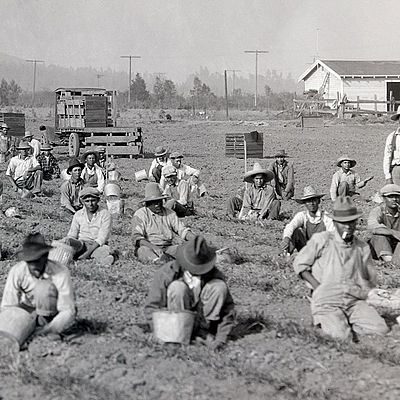 Timeline: Agriculture From 1900-1930 Timeline