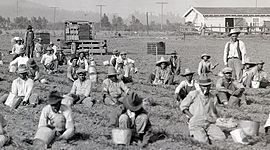Timeline: Agriculture From 1900-1930 Timeline