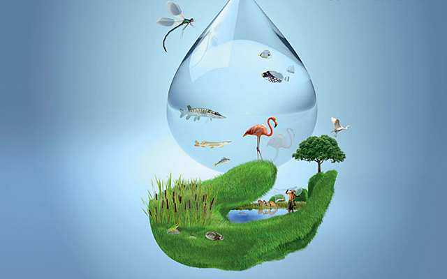 Se empieza utiliza el término de desarrollo sostenible como: “servicios ambientales”.