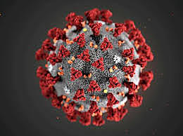 Corona Virus/Covid-19/SarsCov-2