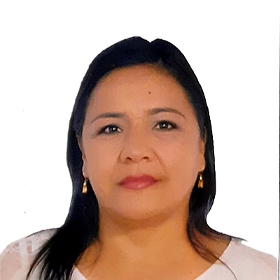 Timeline: Evolución en el tiempo del concepto de RED