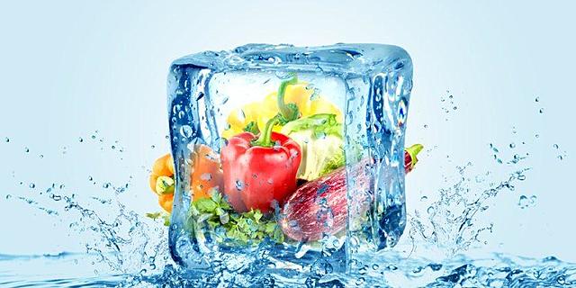 Se emplea la congelación artificial en EUA del pescado y en 1889 del huevo