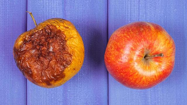 Se diseño y planifico en EUA la primera instalación para irradiar alimentos