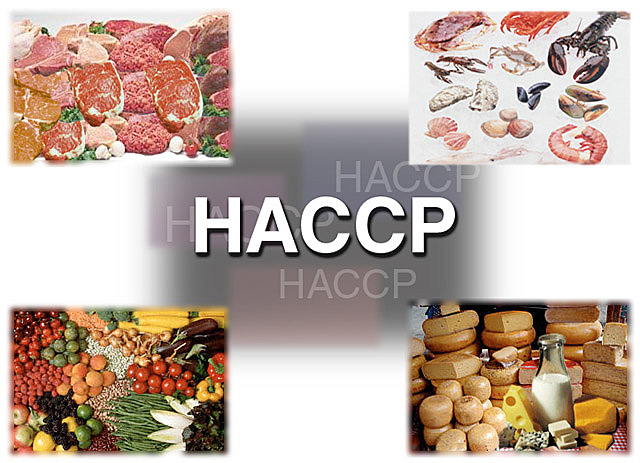 Se creo el sistema HACCP en EUA