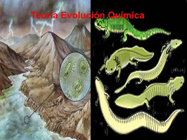 Teoria de la evolución quimica
