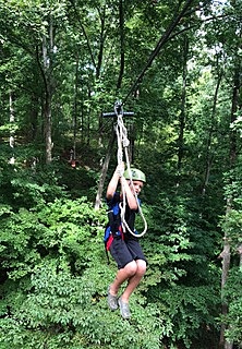 Went ziplining