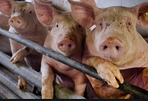 Science and diseases