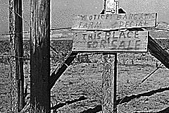 Surplus and Plummeting Prices