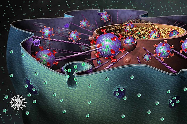 Formación de las células eucariotas