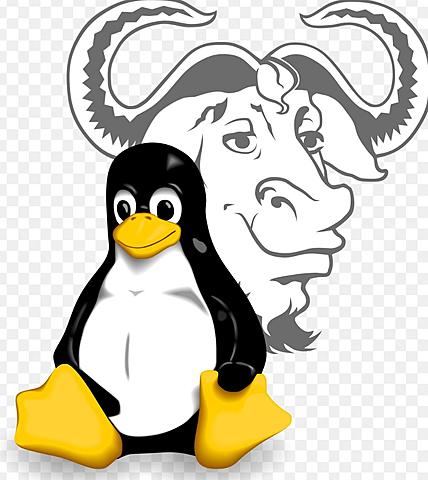GNU / LINUX