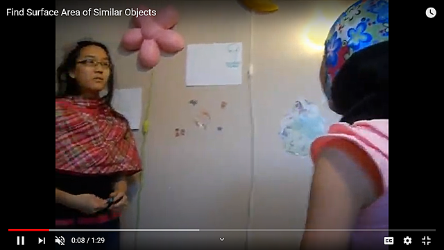 Stupid Videos/Youtube