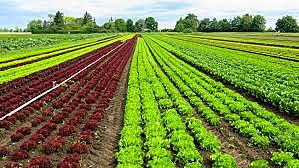 México Prehispánico