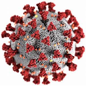 Coronavirus
