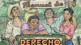 Timeline: Derecho agrario en México.