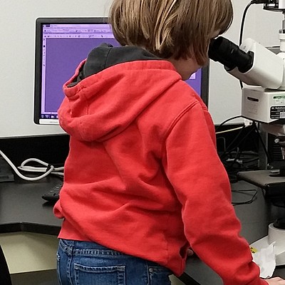 Timeline: Manhattan's  Wonderful Life