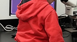 Timeline: Manhattan's  Wonderful Life