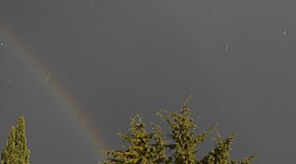 Timeline: LÍNEA DEL TIEMPO HISTORIA DE LA BIOGEOGRAFÍA