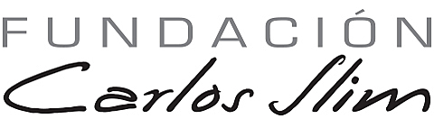 Se crea Fundación Slim