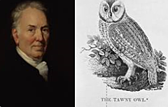 La era termina (Thomas Bewick)