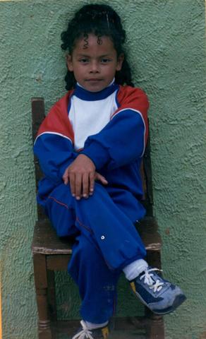 un año muy tranquilo