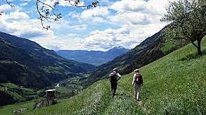 El Movimiento Higienista