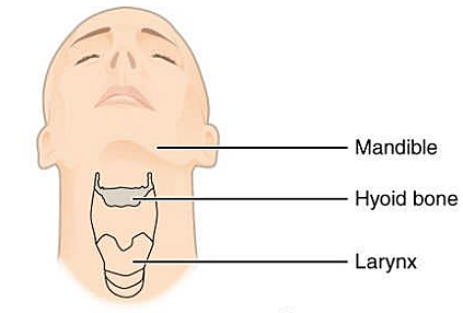 Permitió que los humanos hablaran