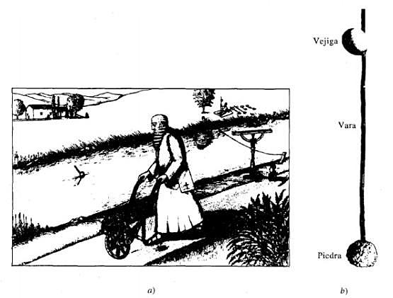 CIENCIA OBSERVACIONAL, LEONARDO DA VINCI