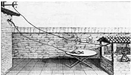 Luigi Galvani (Italia) demuestra que la electricidad es el medio por el cual las señales pasan a y desde los músculos de las ranas.