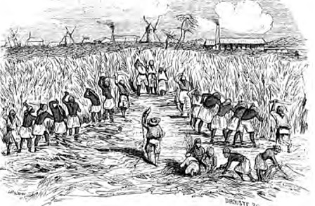 AUMENTA EL TRÁFICO EN AMÉRICA CENTRAL