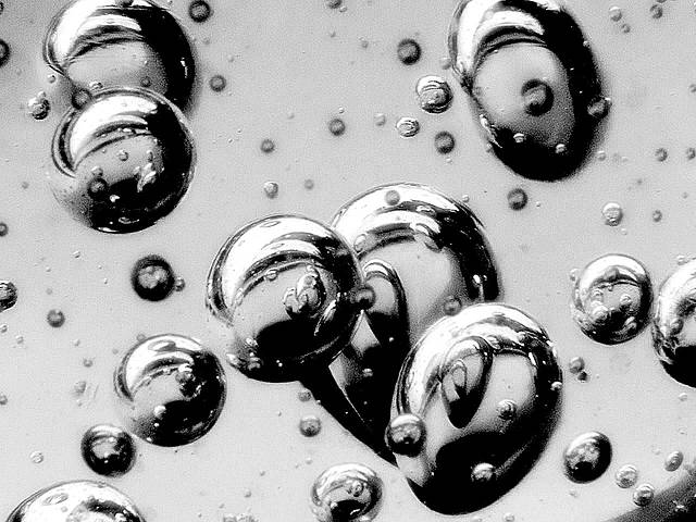 Indagaciones sobre la toxicidad por mercurio