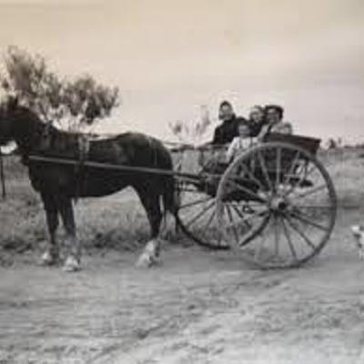 Timeline: Medios de transporte