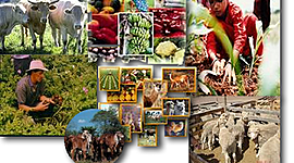 Timeline: MODOS DE PRODUCCIÓN