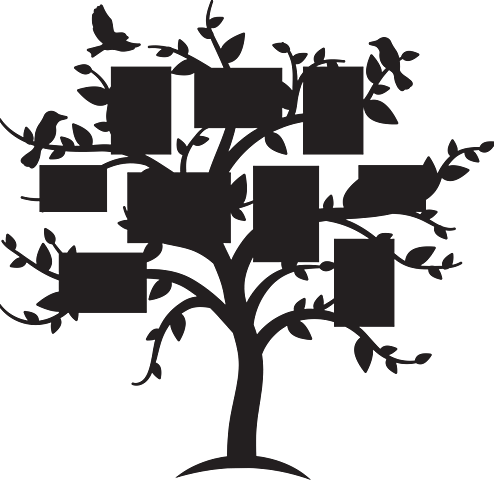 TERAPIA ESTRUCTURAL SISTEMICA