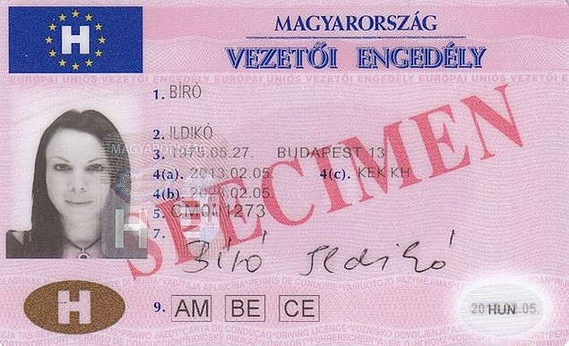 driving license
