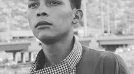 Timeline: 7 Historias