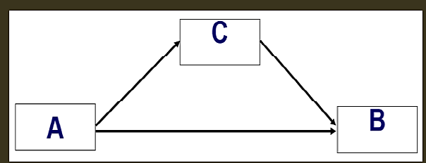 Modello integrato - Pettigrew