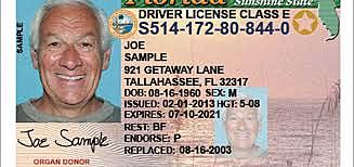 driver's license