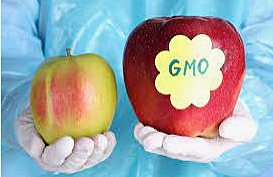 Genetically modified foods
