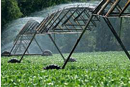 Irrigation