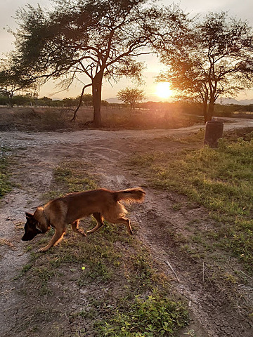 Mi pequeño grano de arroz...