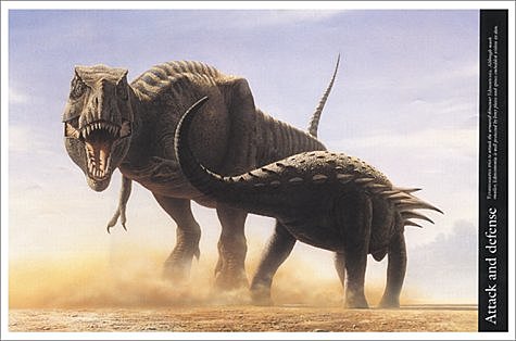 15.Diversidad de especies