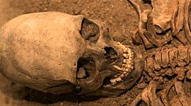 Timeline: Historiadores de la Antropología