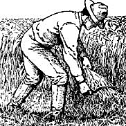 Population and productivity