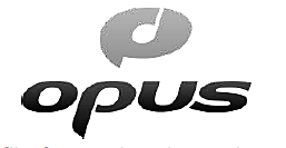 El formato de archivo .OPUS se lanza como la forma más moderna de códec de voz, reemplazando a .VORBIS y .SPEEX como el estándar de oro para la grabación de archivos de audio basados en la voz.