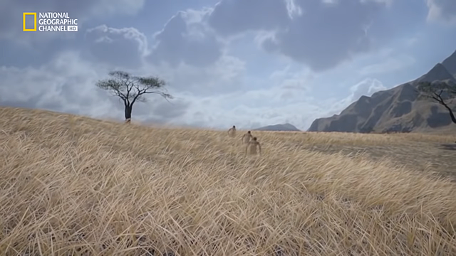 23.Evolución humana