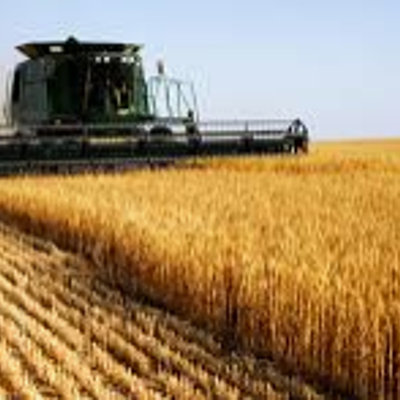 Timeline: 1990 - Current