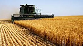 Timeline: 1990 - Current