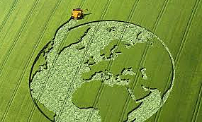 US Agricultural Exports